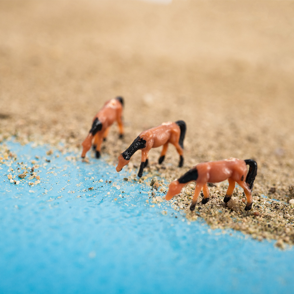 Scale 1:150 Miniature Horse Mo - Model Kit Diorama review and price
